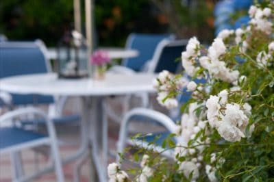 flowers on teh patio with chairs and tables in the background