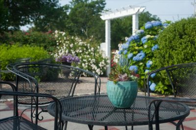 Pretty pergola and chairs on the patio patio