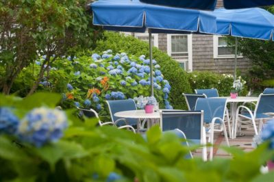 The patio at the Ships Knees Inn with hydrangea flowers