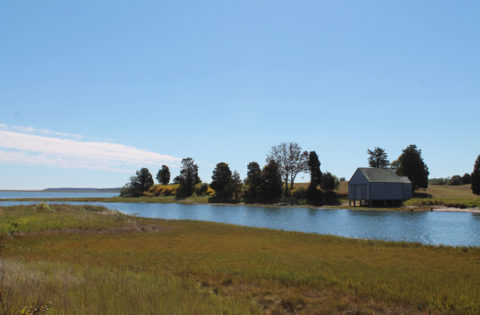 salt-pond-eastham