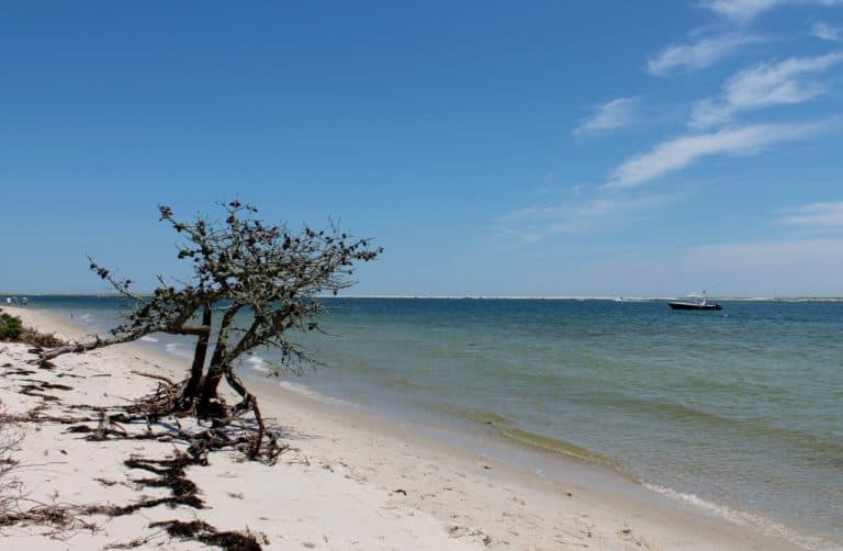 Hidden Secrets Cape Cod