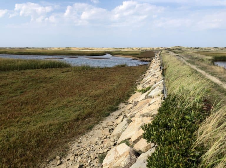 hidden trails on cape cod