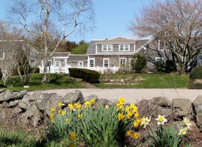 Our Orleans MA Hotel in springtime with daffodils blooming