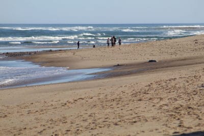 A family enjoys a quiet bech walk on Nauset Beach