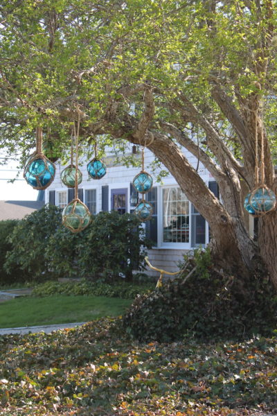 Colorful glass globes hang from our tree