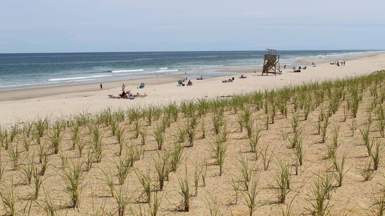 Nauset Beach on a beautiful warm summers day with groups sunbathing and swimming