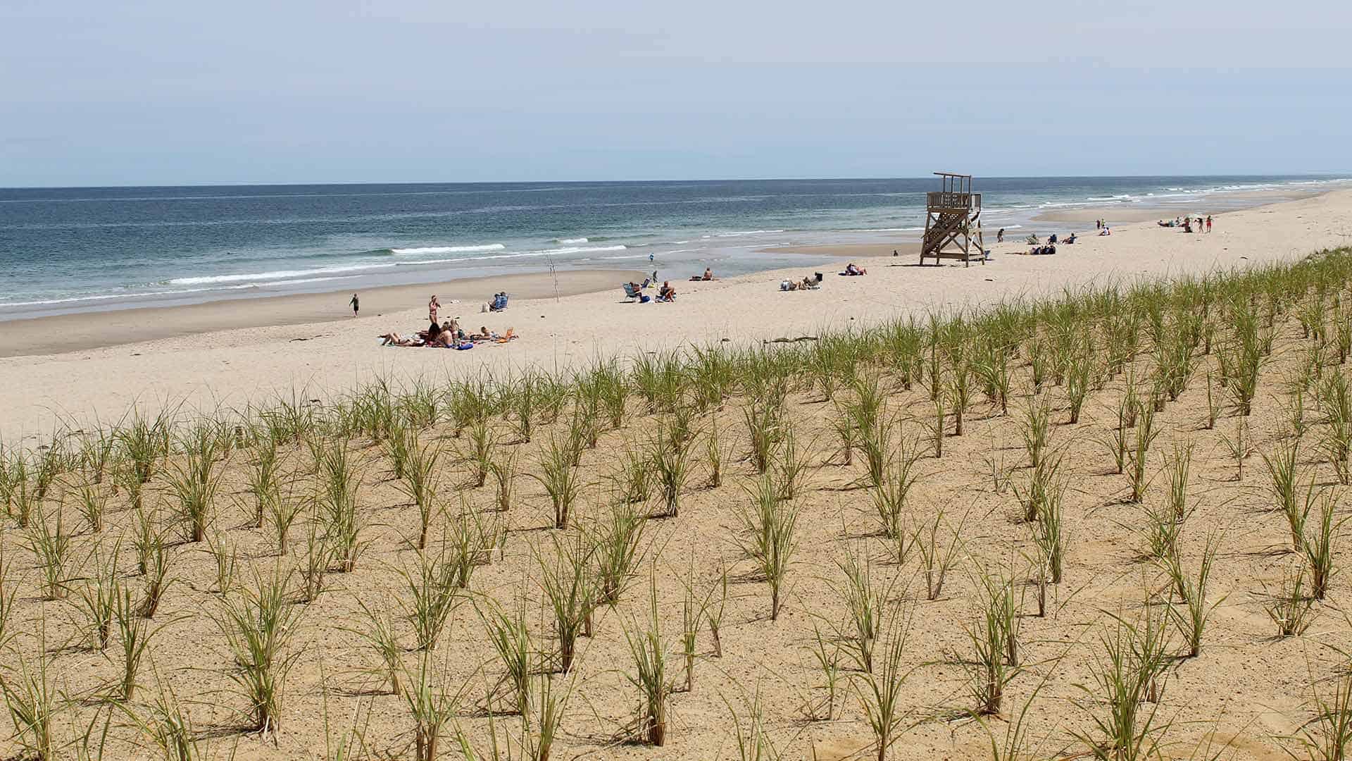 Nauset beach cam