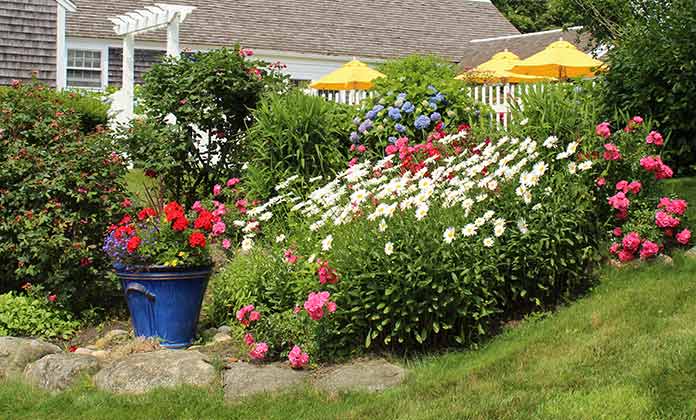 Beautiful flowers at the gardens in the Ships Knees Inn in Orleans MA